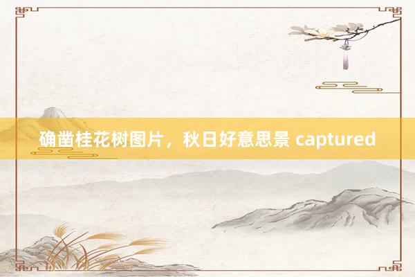 确凿桂花树图片，秋日好意思景 captured