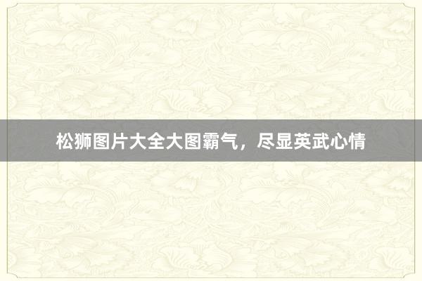 松狮图片大全大图霸气，尽显英武心情