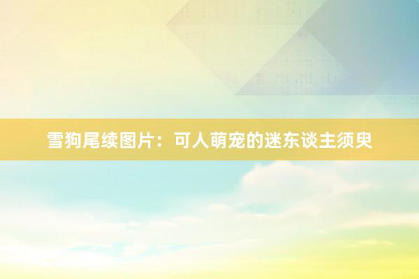 雪狗尾续图片：可人萌宠的迷东谈主须臾